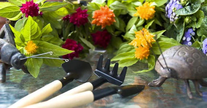 Gardening tools and flowers