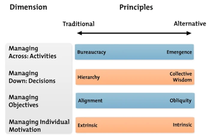 Birkinshaw's Four Dimensions of Management - Developing an Appropriate Management Model