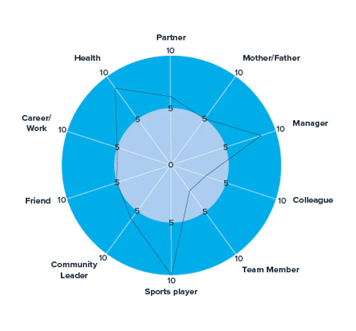 A diagram of the Wheel of Life