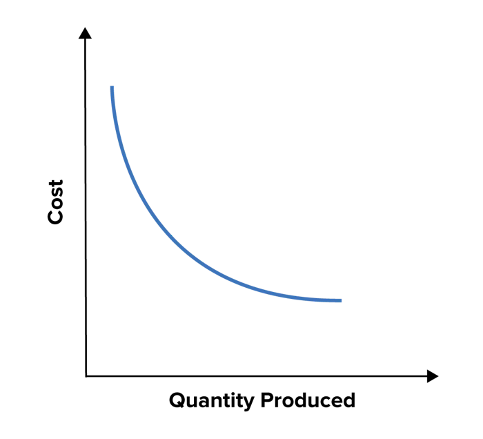 Achieving Economies of Scale - Understanding Why Bigger Can Be Better